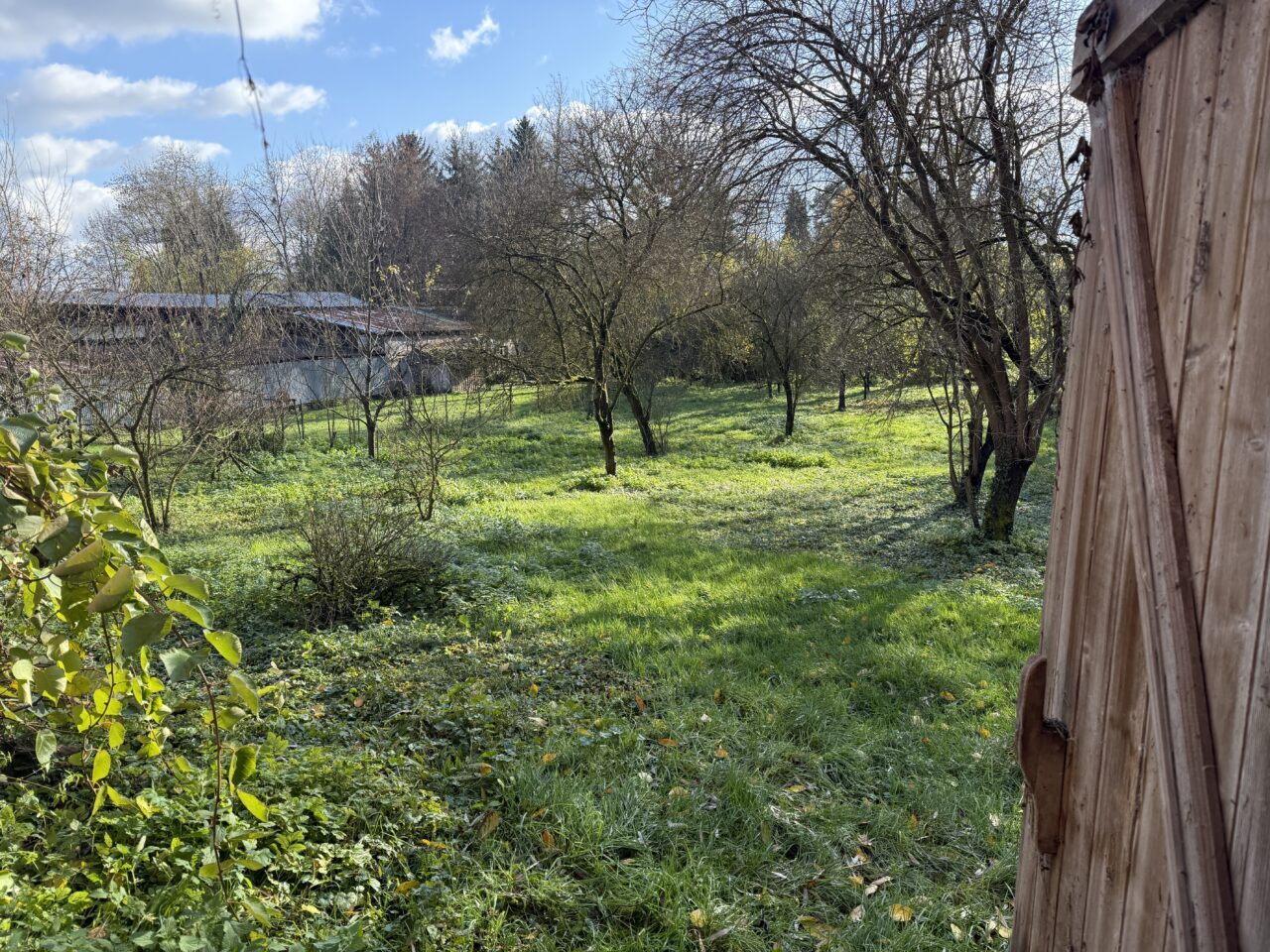 Niederlauterbach, maison 6pc, maison alsacienne, dépendance sur 22 ares