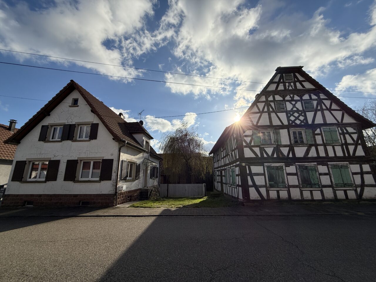 Niederlauterbach, maison 6pc, maison alsacienne, dépendance sur 22 ares