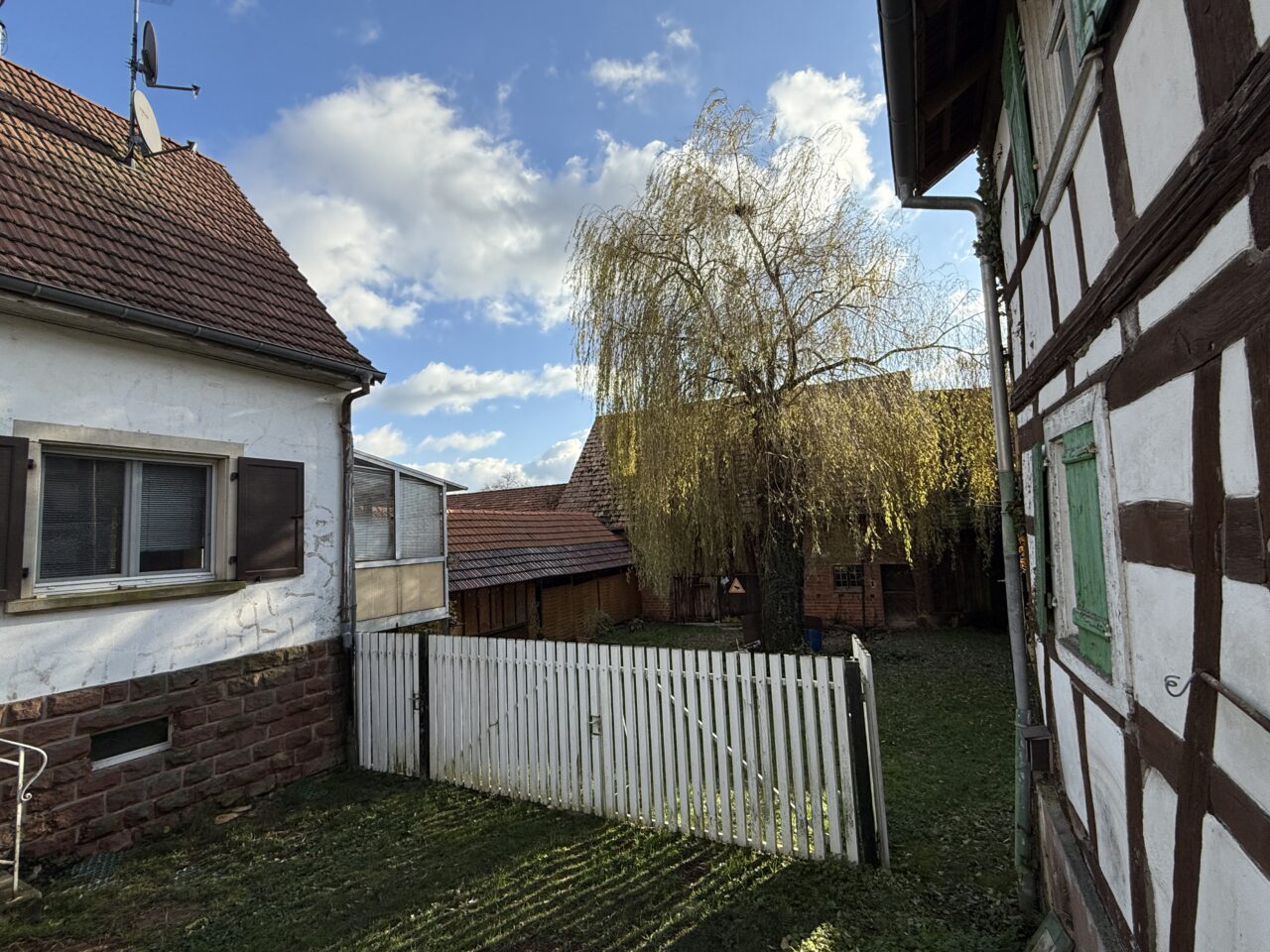 Niederlauterbach, maison 6pc, maison alsacienne, dépendance sur 22 ares