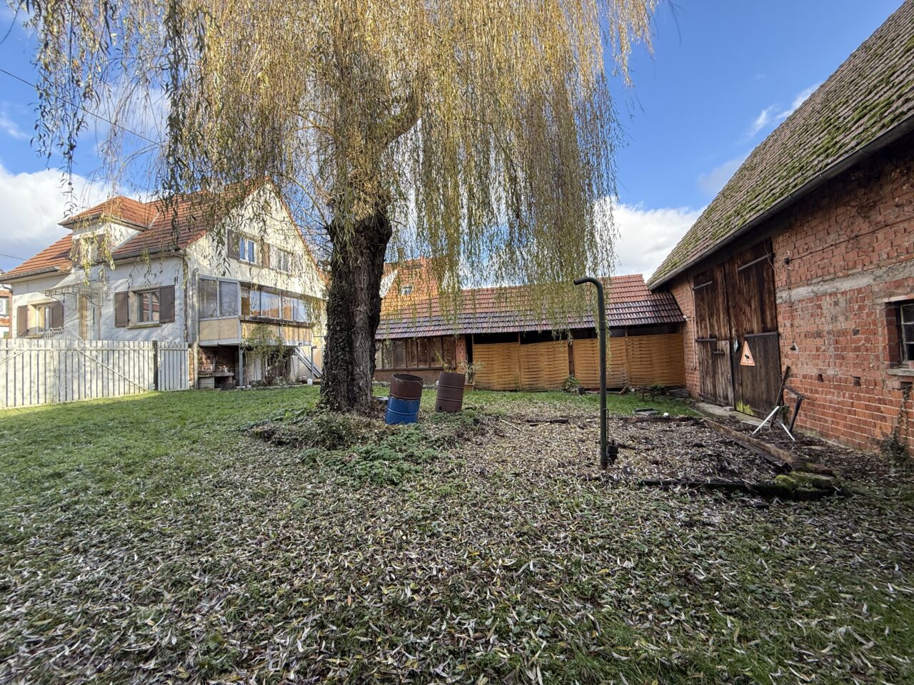 Niederlauterbach, maison 6pc, maison alsacienne, dépendance sur 22 ares