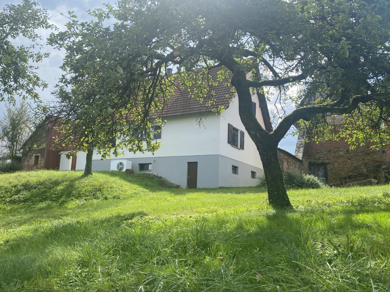 Dauendorf, Maison 6 pc + maison alsacienne + dépendance sur 17 ares